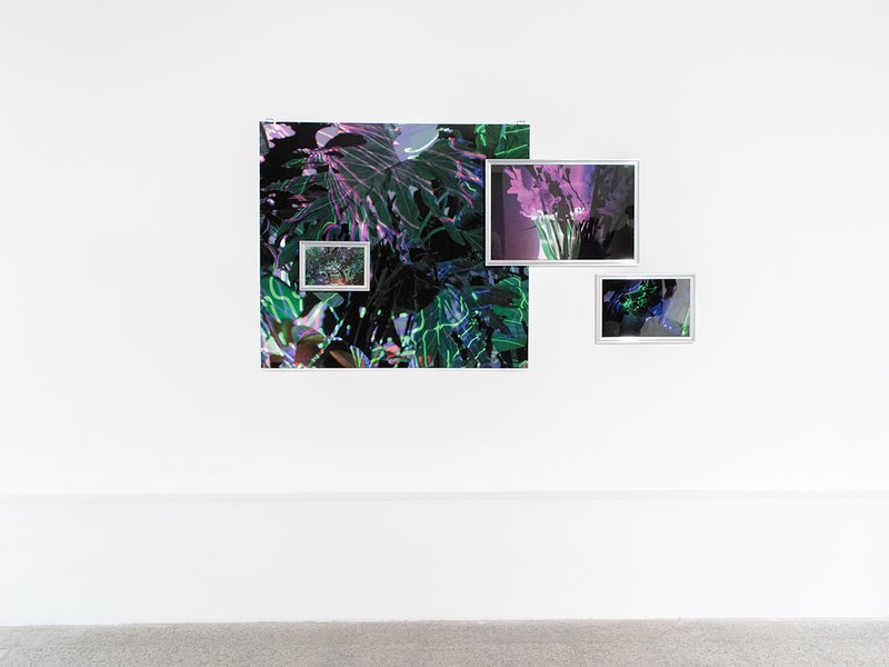 Dis-Orientation, installation view