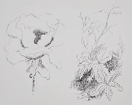 Monir Shahroudy Farmanfarmaian, Poppy and Fern, 1986