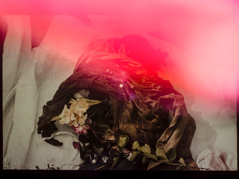 Ghazaleh Rezaei, Untitled