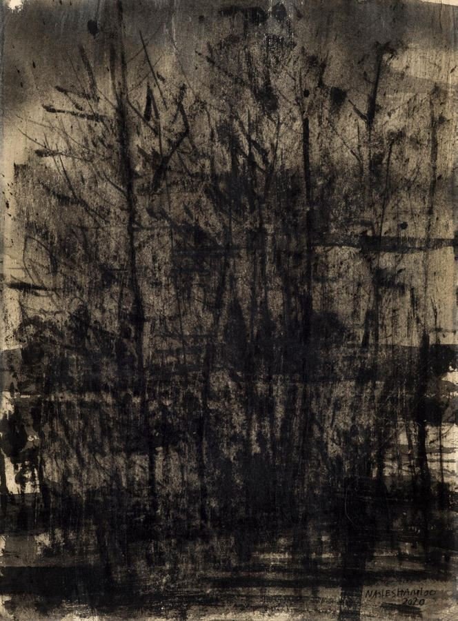 Abbas Nasleshamloo, The Land of No Sun 5, 2020