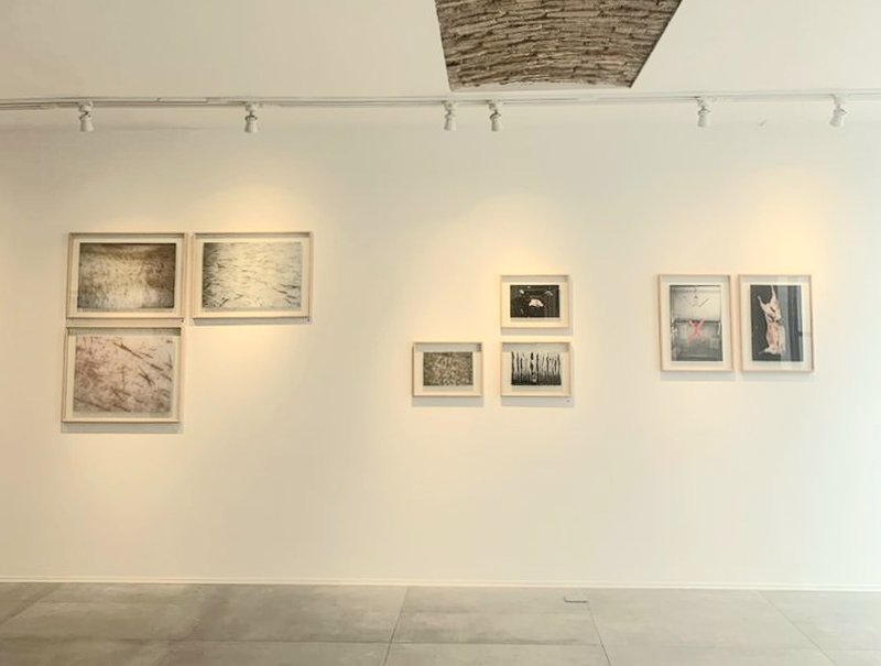 Hiatus, installation view