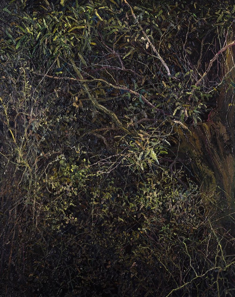 Saeed Khaleghi, Untitled, 2020