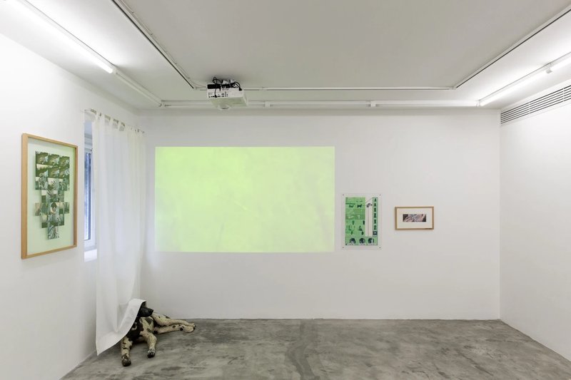 Nature of Things, installation view