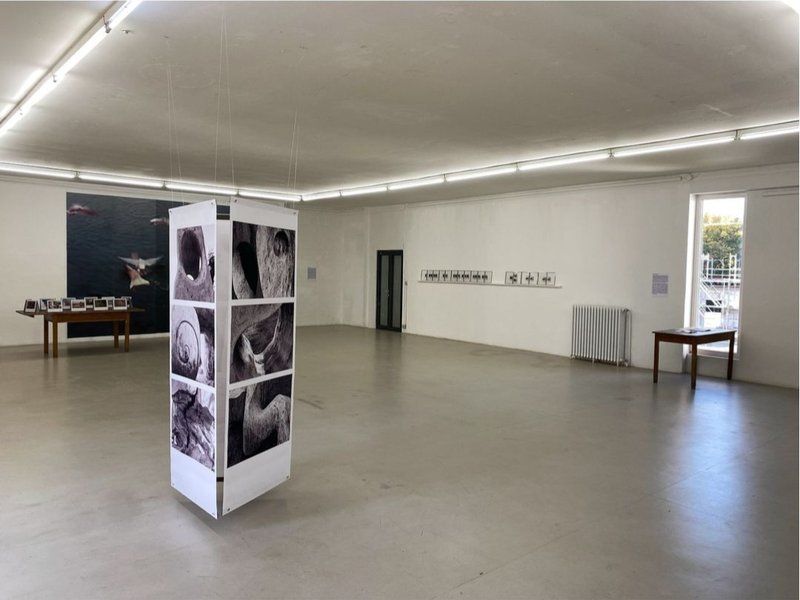 No I Didn't See Anything, installation view