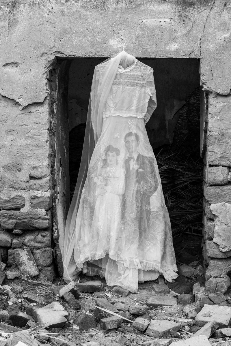 Nazli Abbasi, Untitled, 2019