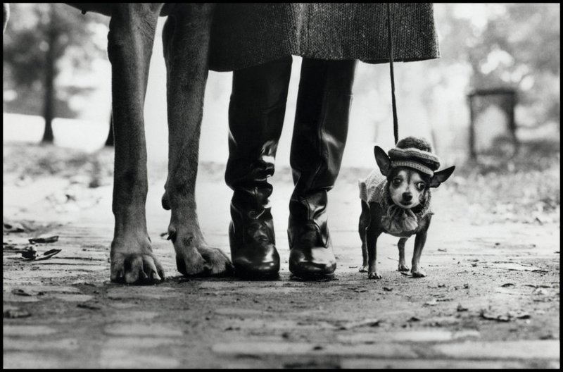 Elliott Erwitt, New York, 1974