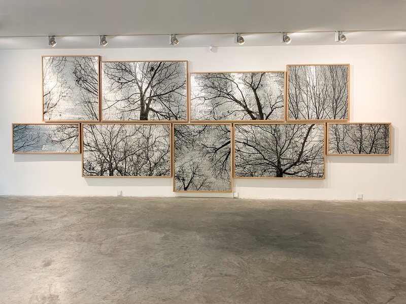 Concealment, installation view