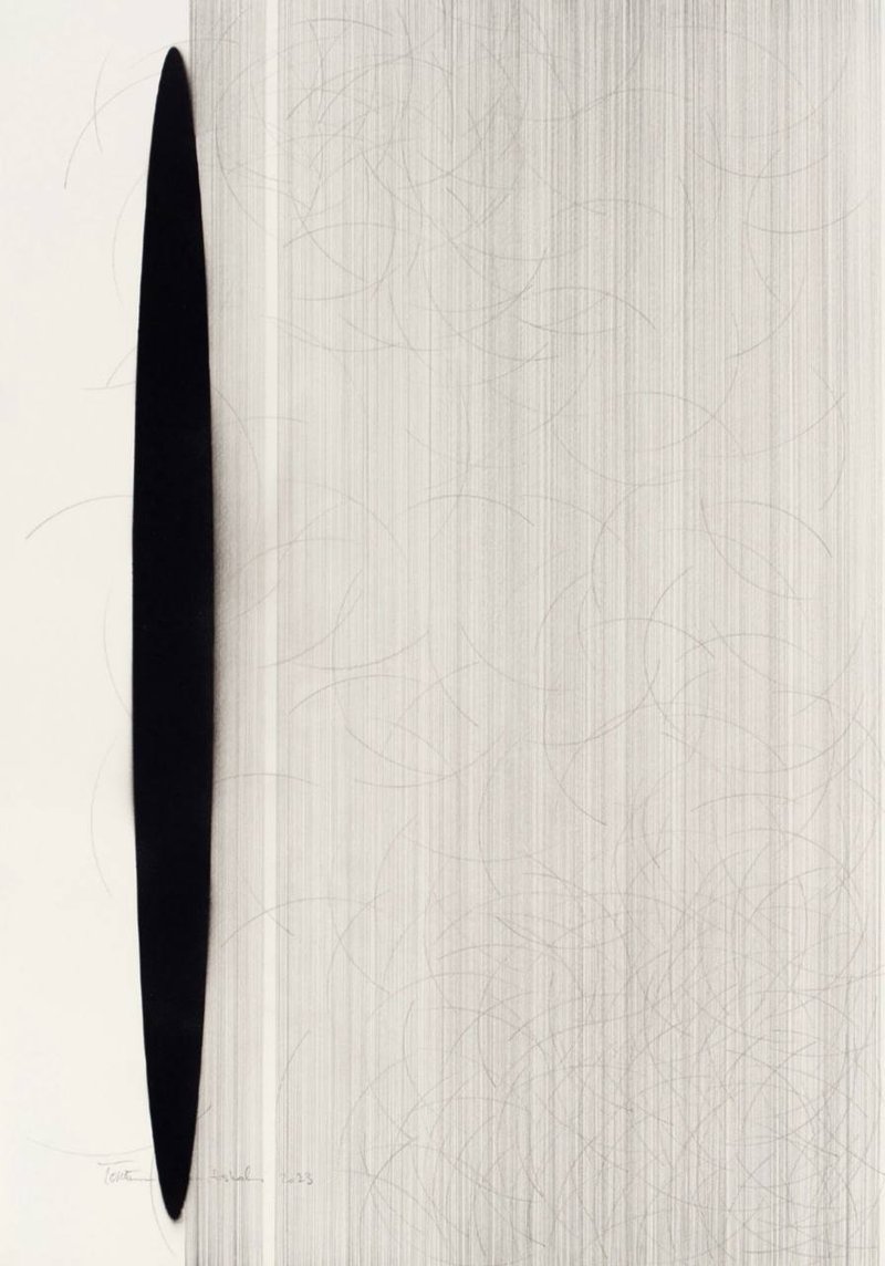 Toktam Saberi Ashrafi, Untitled, 2023