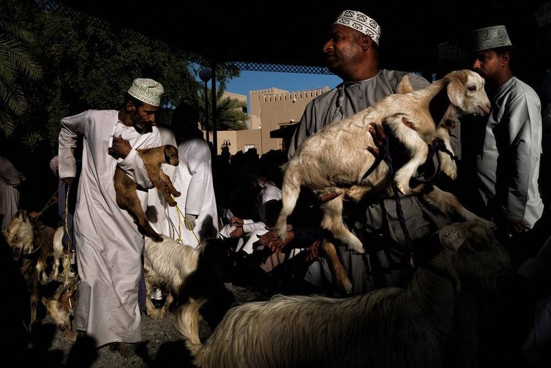 ماود بارده، بدون عنوان