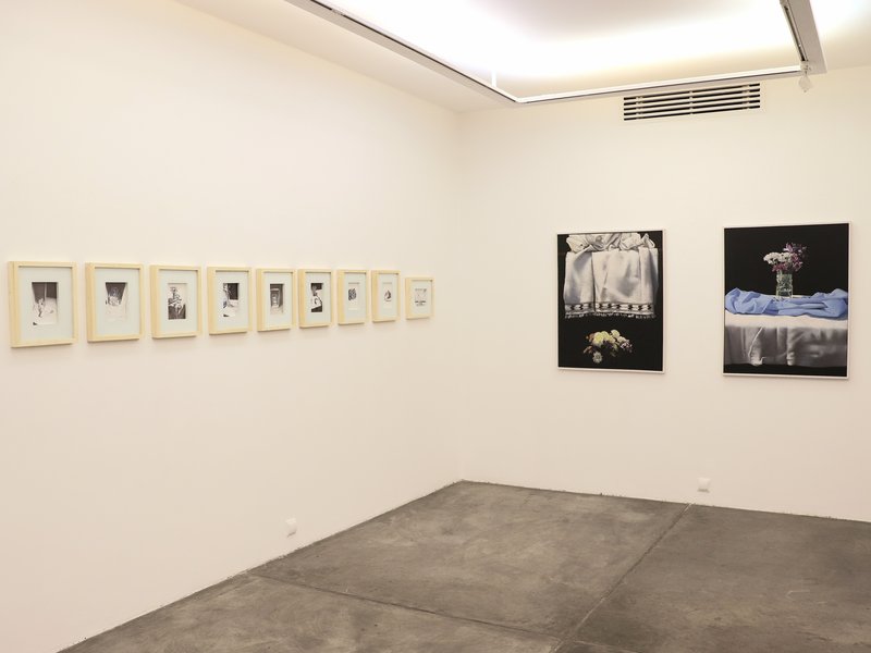 Narrator, installation view