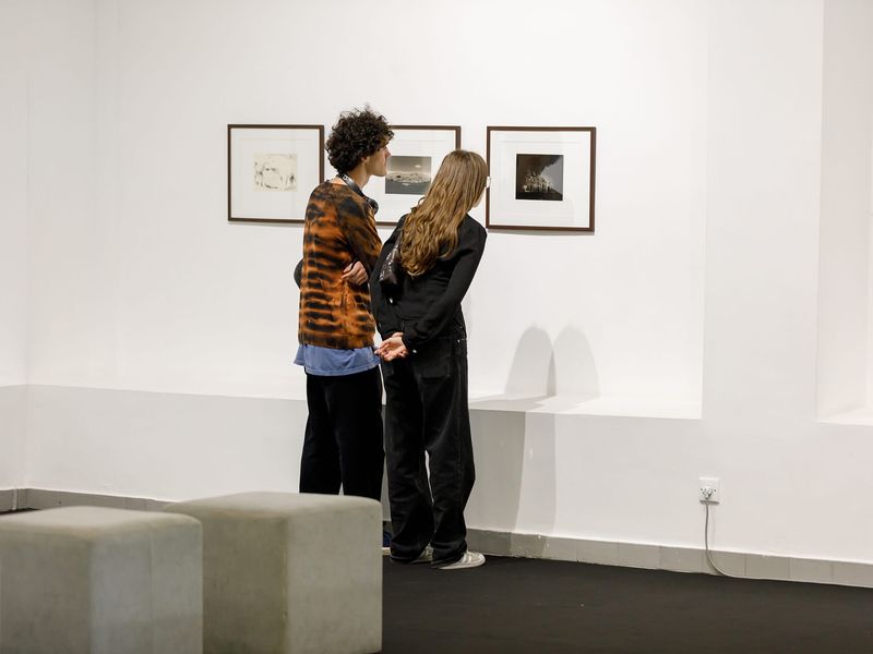 The Rooster Gallery at Tbilisi Art Fair 2024