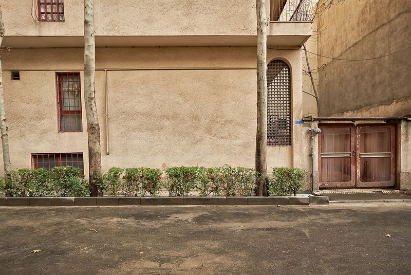 Alireza Fani, Untitled, 2016