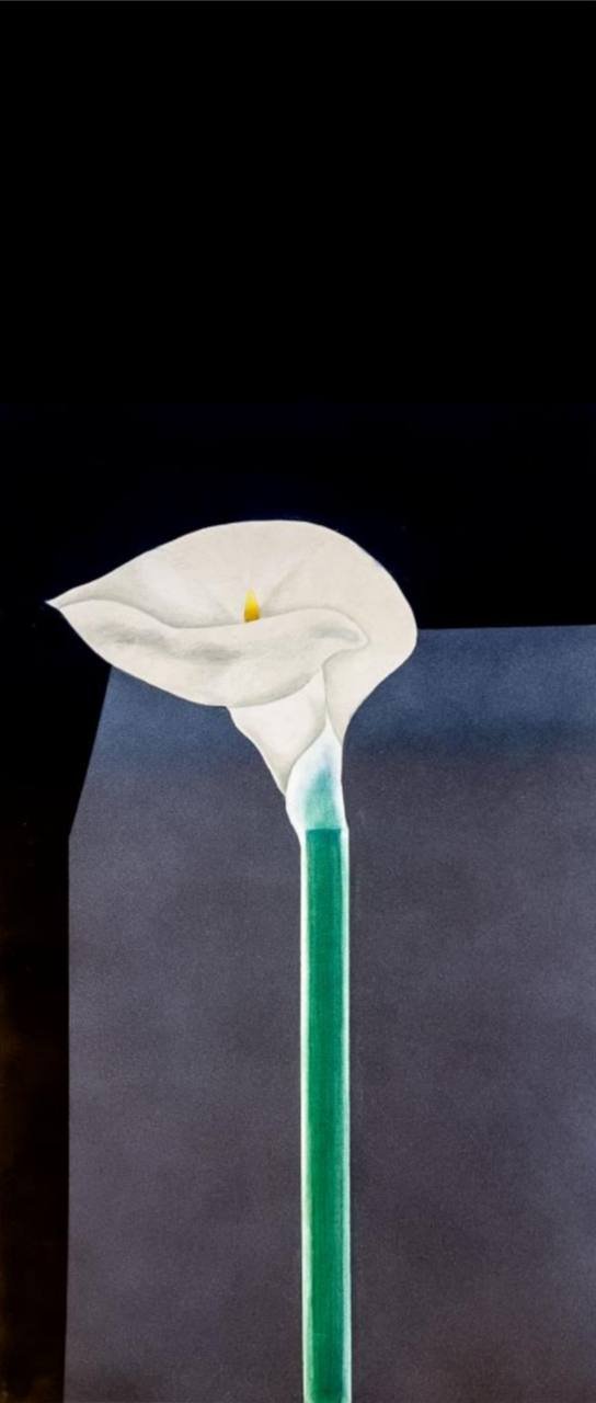 Vanoosheh Kazemian, Untitled, 2023