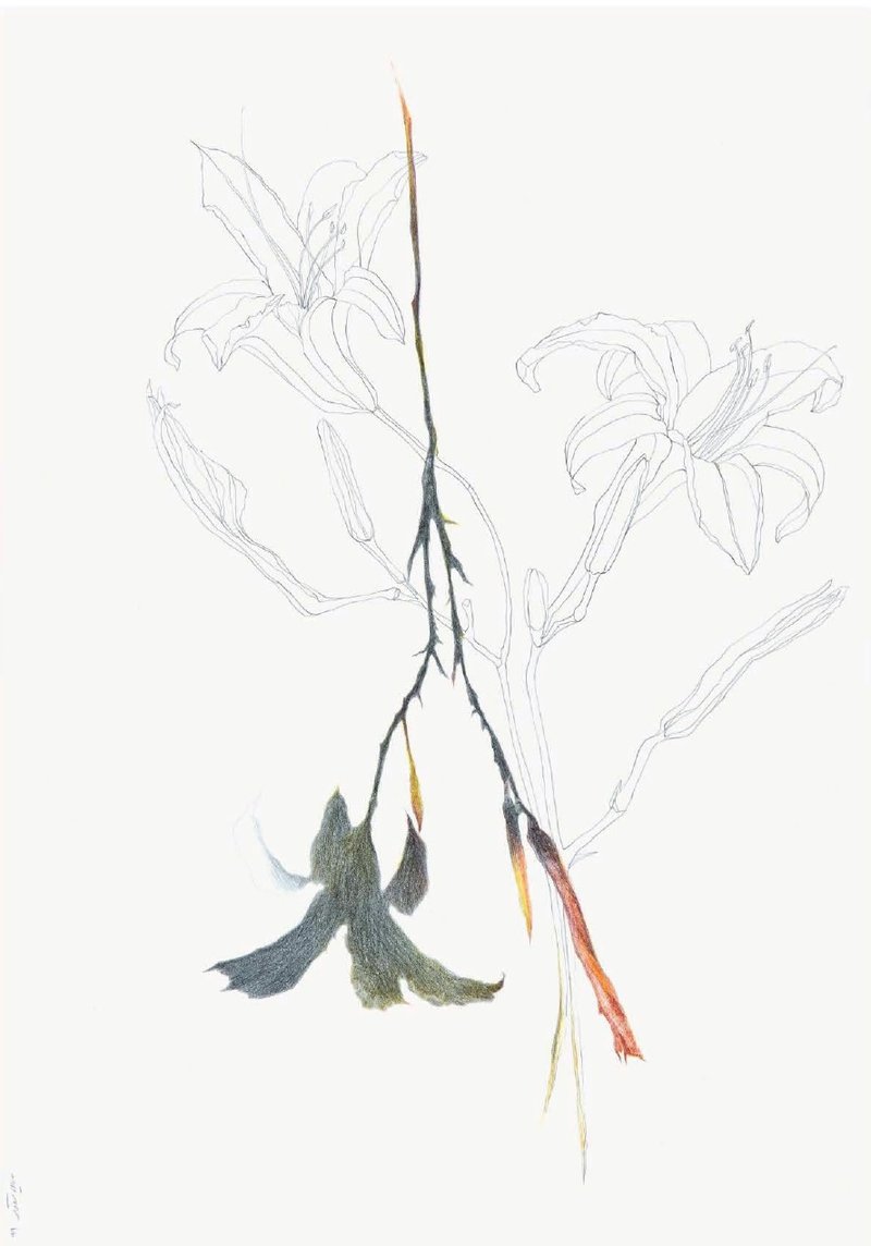 Nazila Moghadam, Untitled, 2020