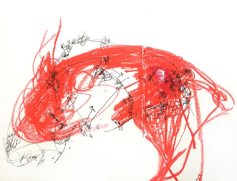 Soha Kabiri, Untitled, 2019