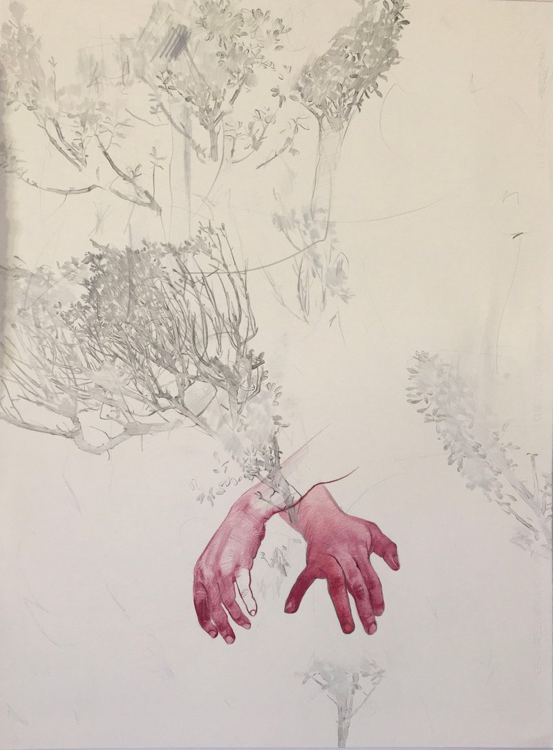 Behnaz Ghasemi, Untitled, 0