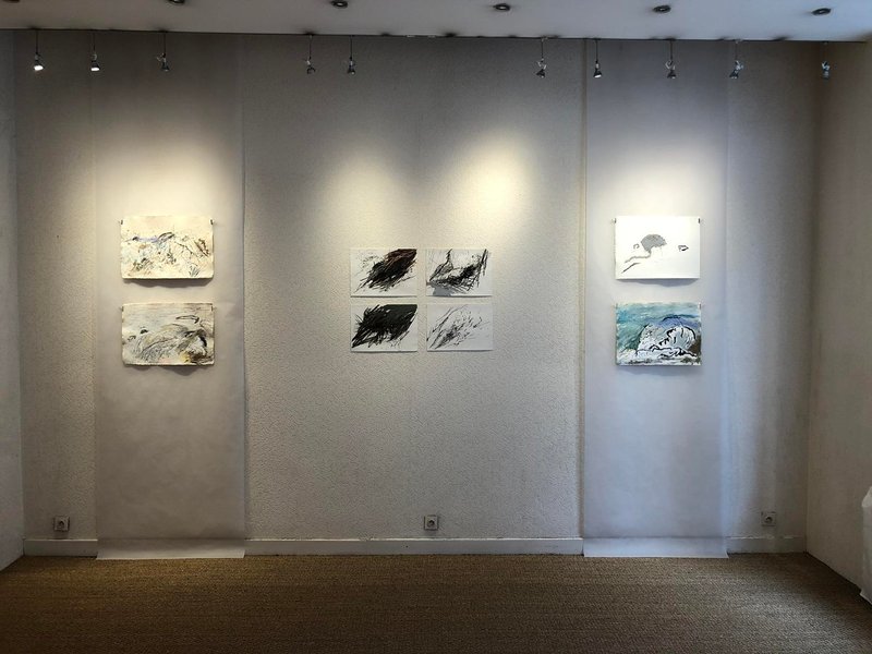 Falaises océaniques, installation view
