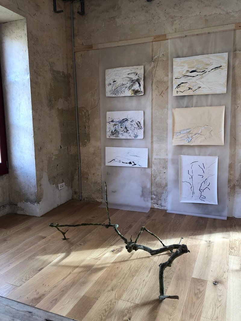 Amin Shojaie, Untitled, 2019