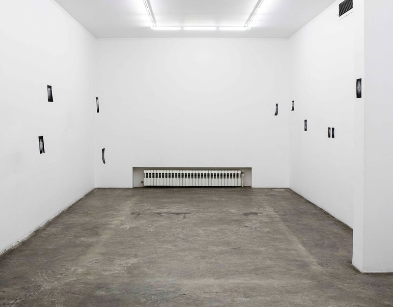Soft Matter, installation view
