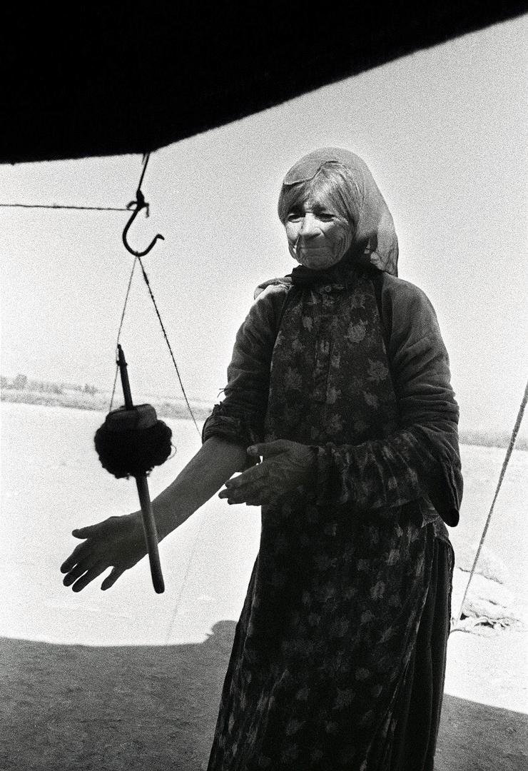 Morteza Poursamadi, Untitled, 0