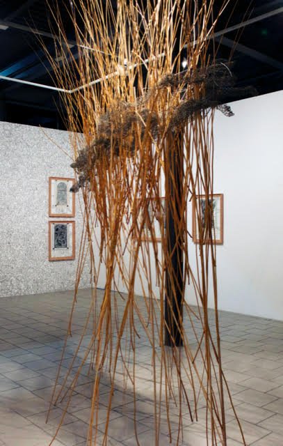 Shaqayeq Arabi, Fragment, Notes & Lines , 2018