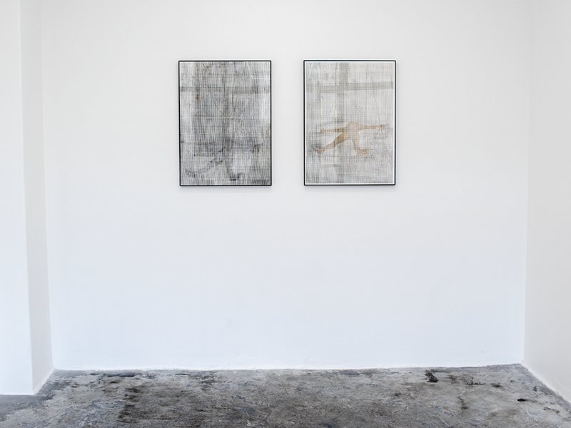 Hanged Roots, installation view