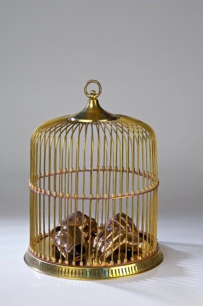 Nastaran Safaei, Cage, 2012