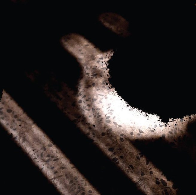 The Stem of The Light