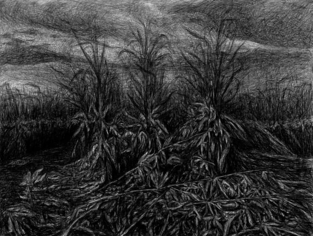 Mohammadreza Khalili, Untitled, 2022
