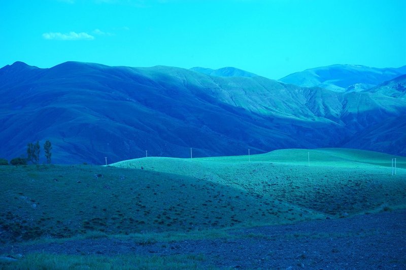 مانا صالحی، بدون عنوان، 1398