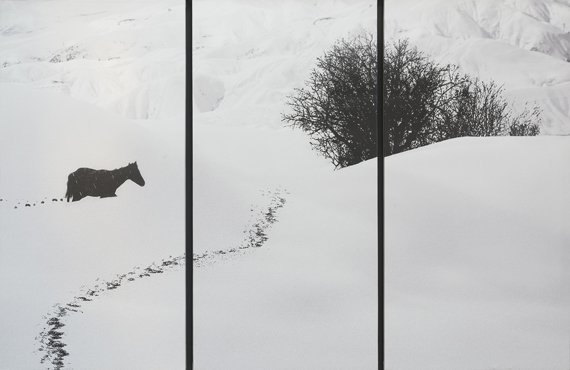 Abbas Kiarostami, Untitled, 2000