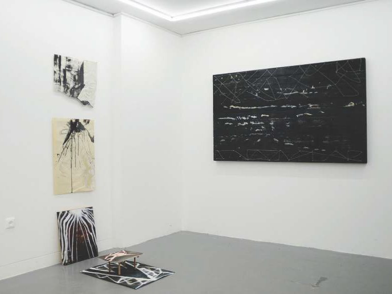 Neurovironment, installation view