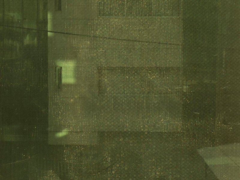 Mehran Mohajer, Behind the Window, 2014