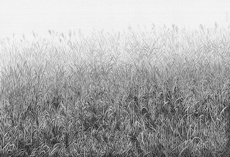 Mahsa Arabzadeh, Untitled, 0
