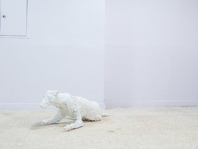 The Dinosaur Lost Her Bearings, installation view