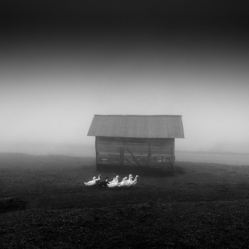 Kiarang Alaei, Untitled, 0