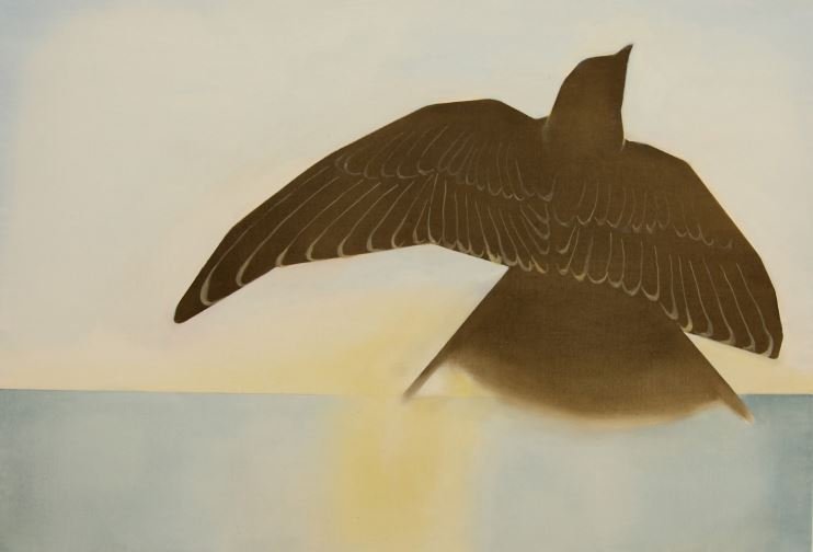 Shadi Salimi, Untitled, 2025