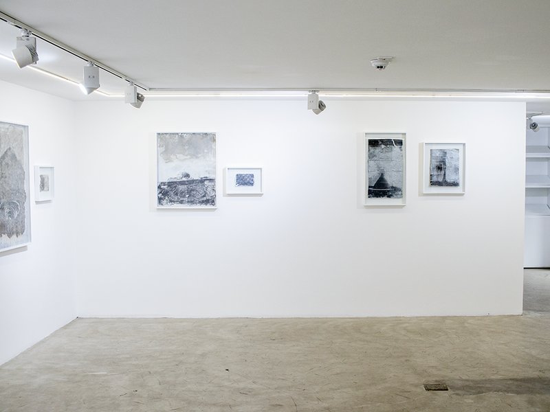 Cognations, Relations, installation view