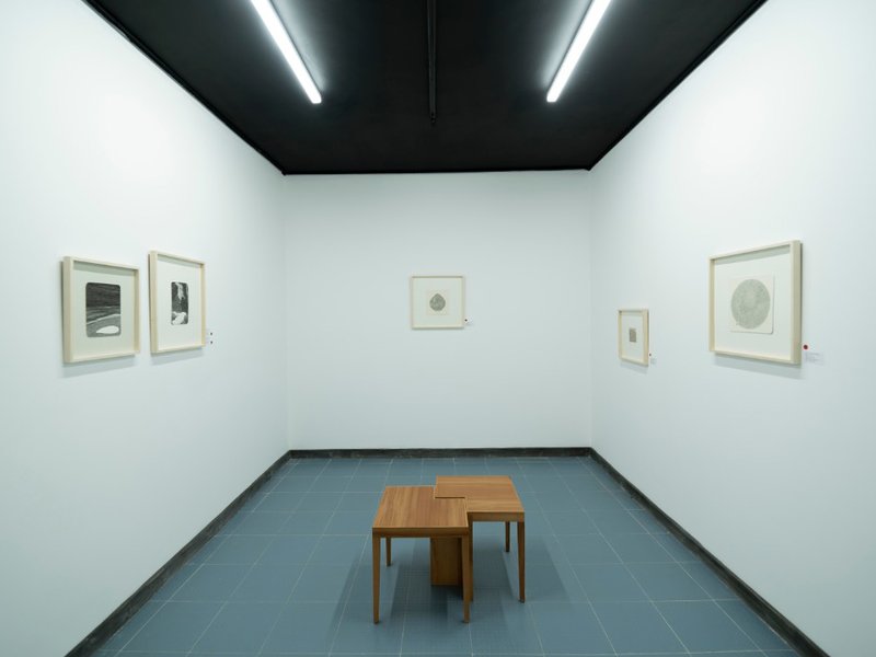 Extinct Condition, installation view