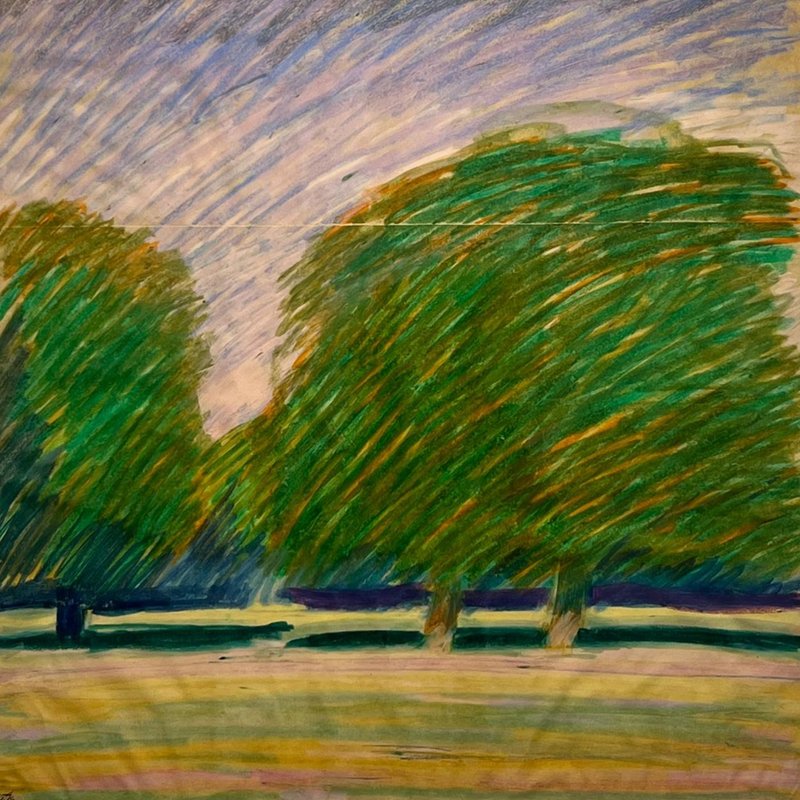Above the Fields