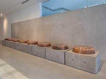 Installation view.