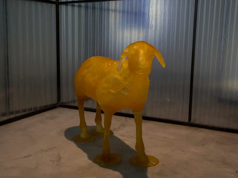 Neda Saeedi, Sugared Tribe, 2019