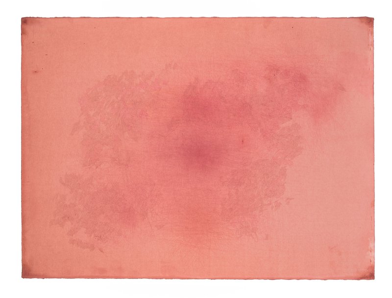 Razieh Sedighian, Untitled, 2021