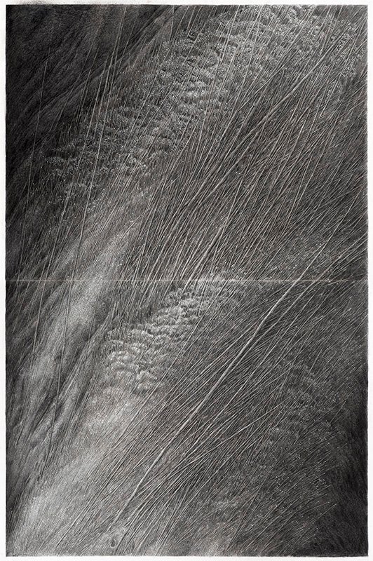 Nafiseh Sedighi, Untitled, 2019