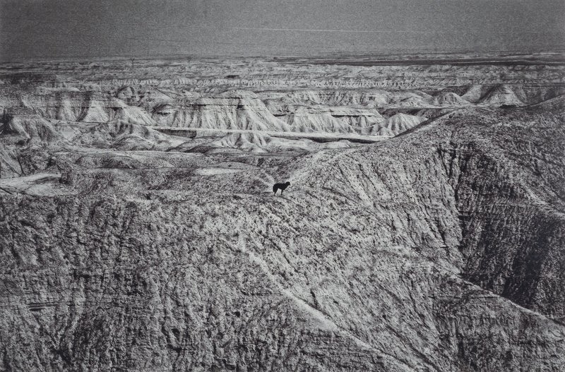 Babak Kazemi, A Report For d'Arcy, 0
