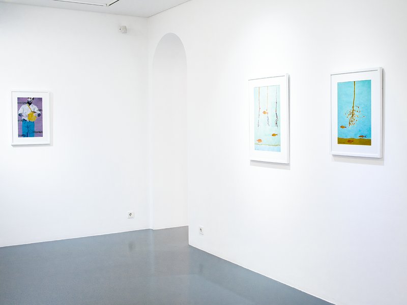 Roots from the Sky, installation view