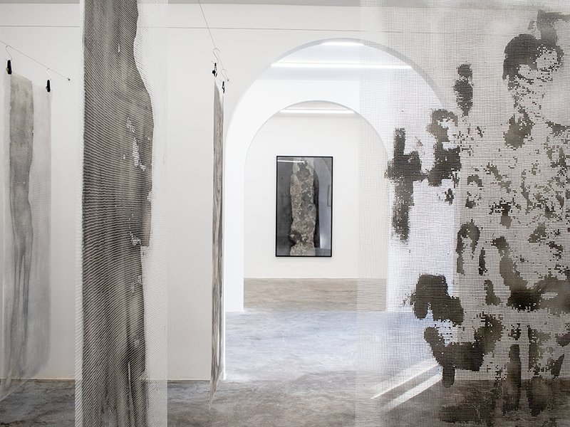 Hanged Roots, installation view