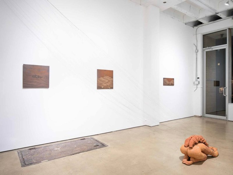 A Land to Fall Sleep, installation view