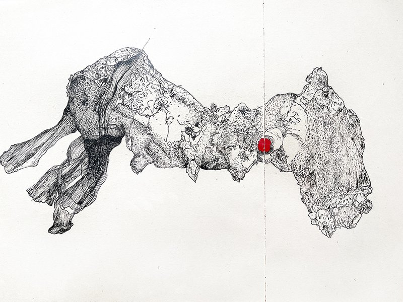 Soha Kabiri, Untitled, 2019