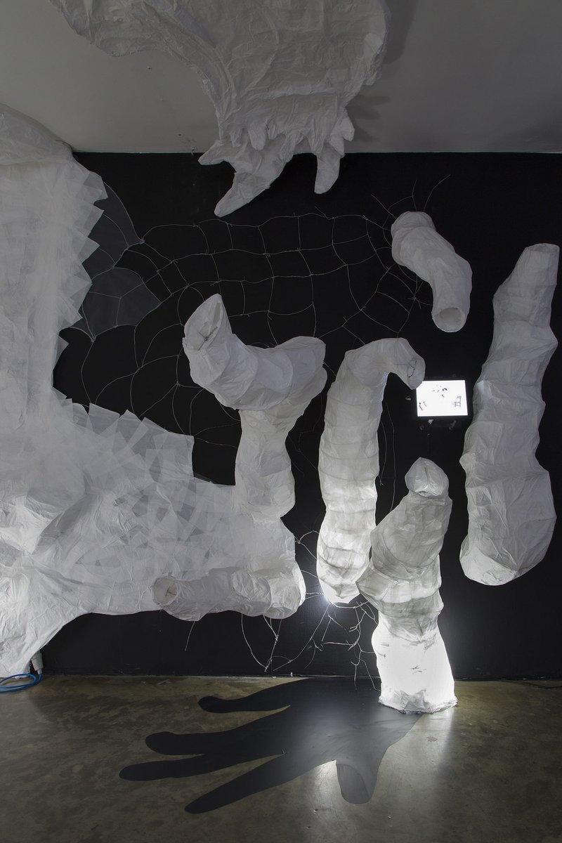 Tales of Interdisciplinia: The Curious Case of a Very Long Tail, installation view